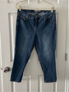 Torrid Denim Straight Leg Jeans – Size 16